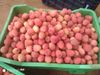 Lichia Fresca Premium 1 kg
