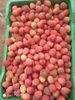 Lichia Fresca Premium 1 kg