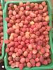 Lichia Fresca Premium 1 kg